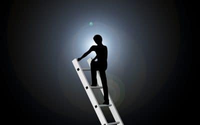 Are you climbing the wrong ladders to success?